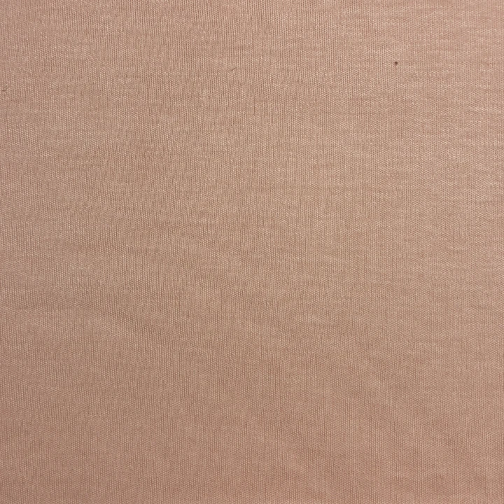 Saumon (3).png